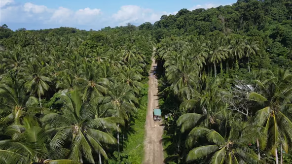 Plantations